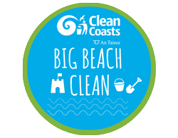 Big Beach Clean