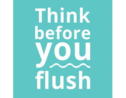 Think Before You Flush