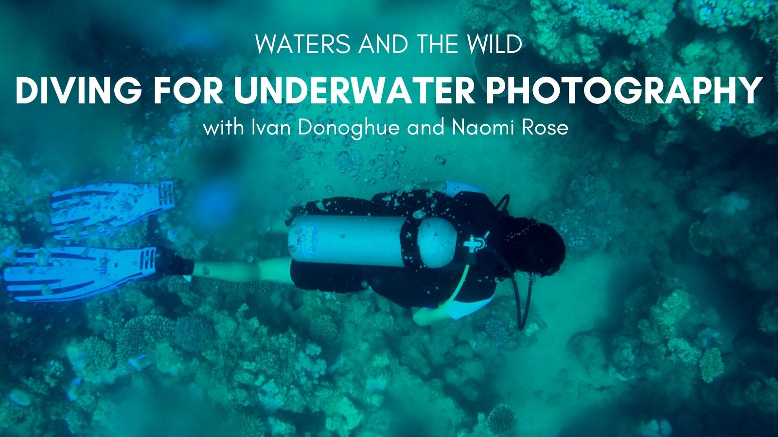 Waters and the Wild Webinar. Diving for underwater photography with Ivan Donoghue and Naomi Rose