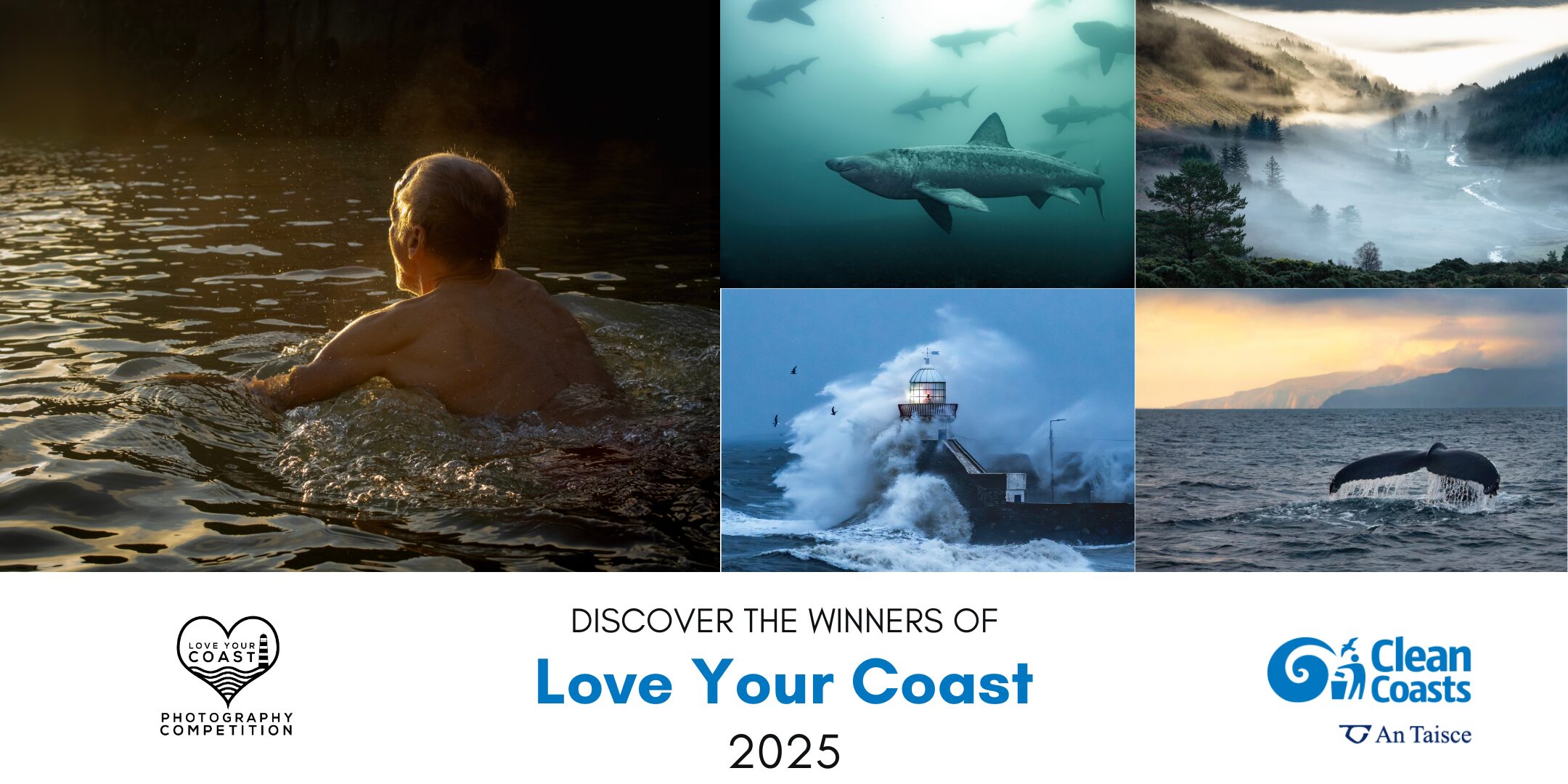 LYC 2025 ALL CATEGORY WINNERS – BANNER (2)